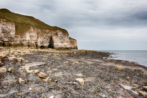 Beautiful nature in coast of East Riding of Yorkshire. HDR.