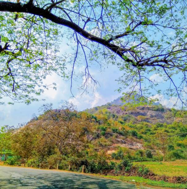 istock THE BEAUTY IN NATURE 1525182957