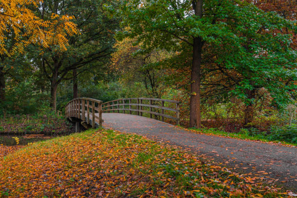 istock Autumn colors in park 1525307359