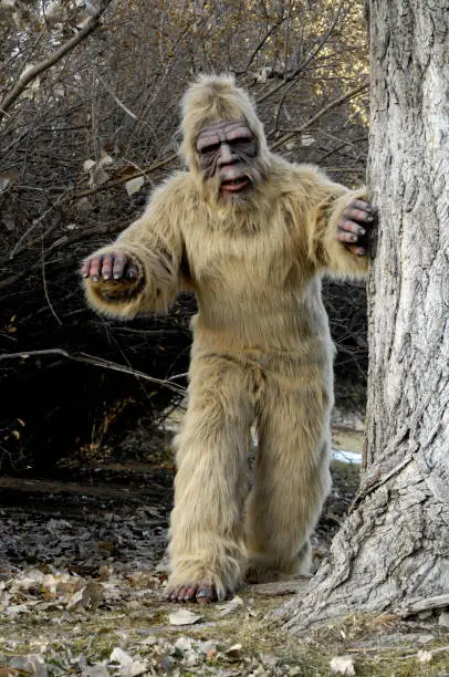 Bigfoot