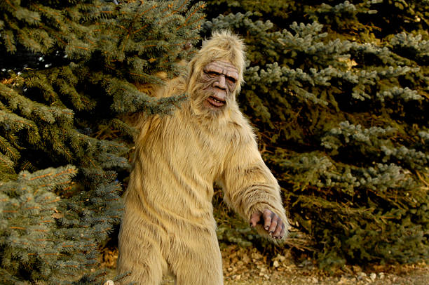 bigfoot na zewnątrz - yeti zdjęcia i obrazy z banku zdjęć