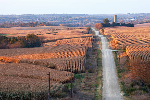 Estrada de montanha-russa - foto de acervo