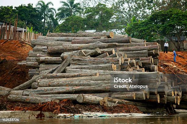 Photo libre de droit de Coupe En Bois De La Forêt Tropicale De Lamazonie Péruvienne banque d'images et plus d'images libres de droit de Déforestation