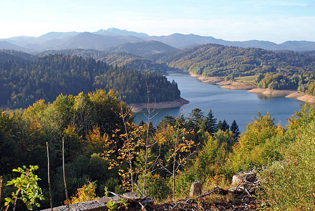istock Lokvarsko lake 152533871