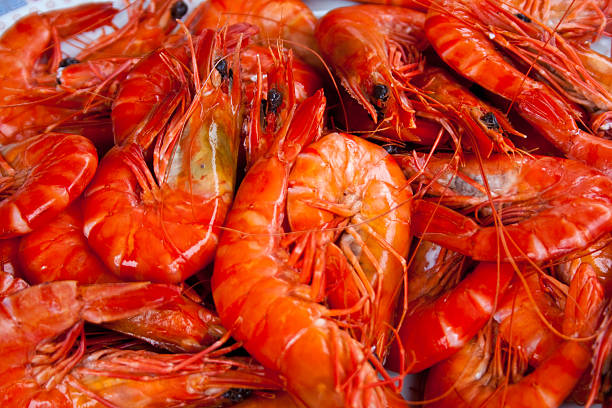 istock Prawns on Christmas Day 152533925