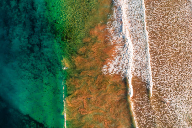 istock Waves crashing on the sandy beach 1525347490