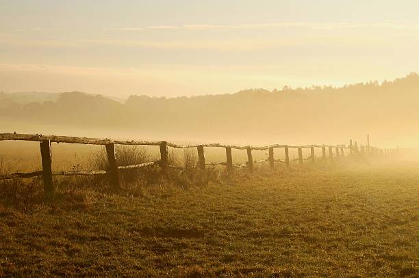 istock Foggy field at sunrise 152534772