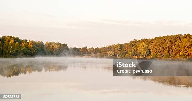 Photo libre de droit de Mist Sur Le Lac banque d'images et plus d'images libres de droit de Arbre - Arbre, Au bord de, Aube