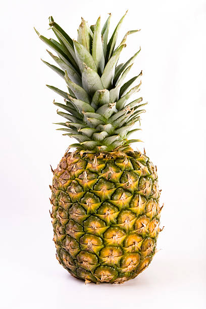 Pineapple stock photo