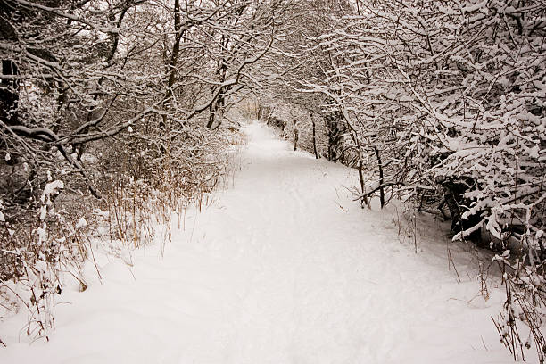 Snowy Footpath stock photo