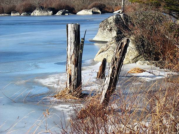 istock Stumps, French Lake 152536470