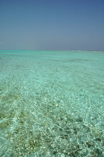 Maldivian lagoon Wonderful view of turquoise water of the lagoon in Meeru island, Maldives. meeru island stock pictures, royalty-free photos & images
