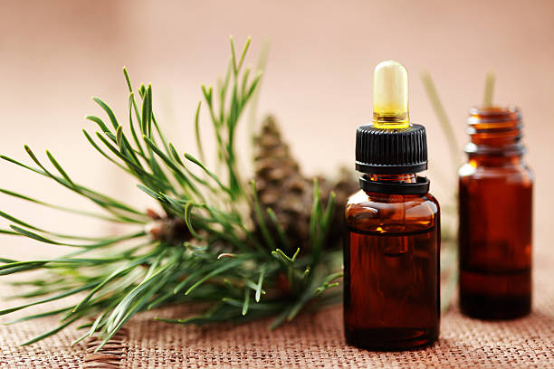 istock aromatherapy oil - fir tree 152537024