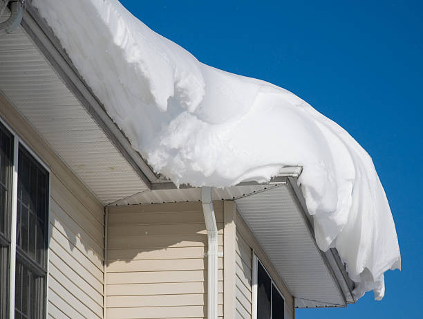 снежный сугроб на крыше - thick snow стоковые фото и изображения