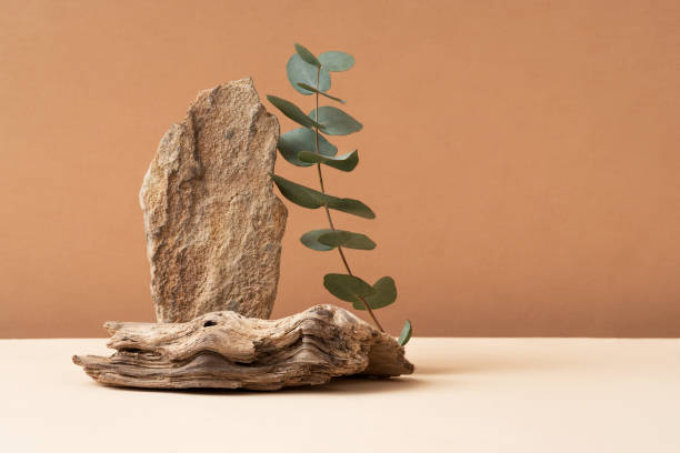 istock Podium for exhibitions and product presentations material stone, eucalyptus branch. Beautiful beige background made of natural materials. Abstract nature scene with composition. 1525380599