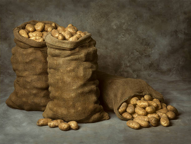 des sacs de toile de jute de pommes de terre - balefire photos et images de collection