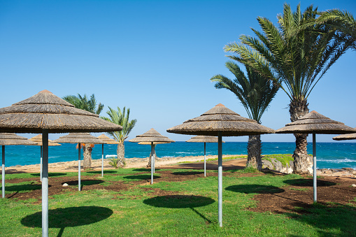 Beautiful seaview with palm trees and thatched roof umbrellas. Protaras, Cyprus.