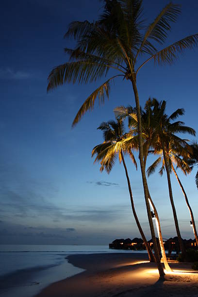 istock calm night in paradise 152538716