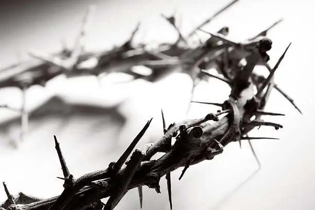 Crown of thorns in black and white.