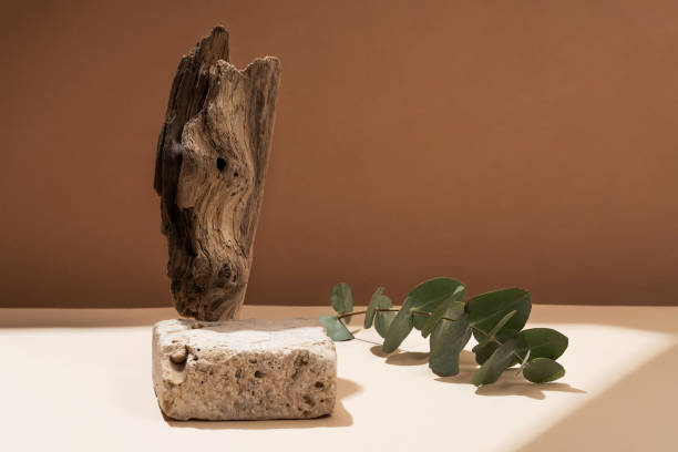istock Podium for exhibitions and product presentations material stone, eucalyptus branch. Beautiful beige background made of natural materials. Abstract nature scene with composition. 1525390761