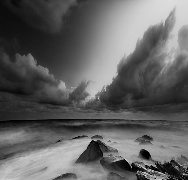 istock Elements of the sea 152539248