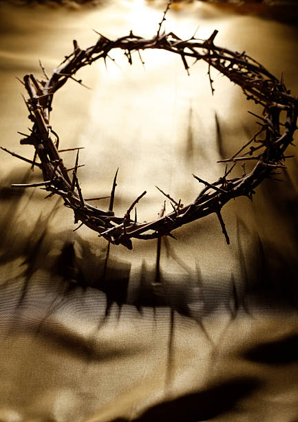 istock Crown of Thorns 152539666