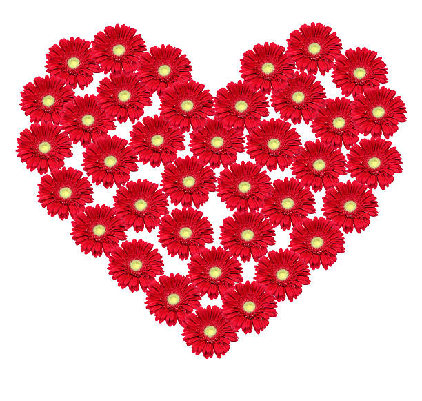 flower heart stock photo