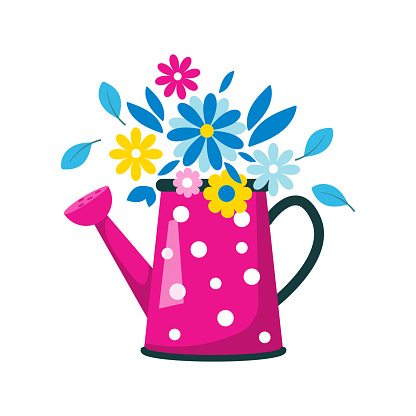 A bouquet of flowers in a pink garden watering can with polka dots. Cute spring or summer flat vector illustration in cartoon style, isolated on a white background