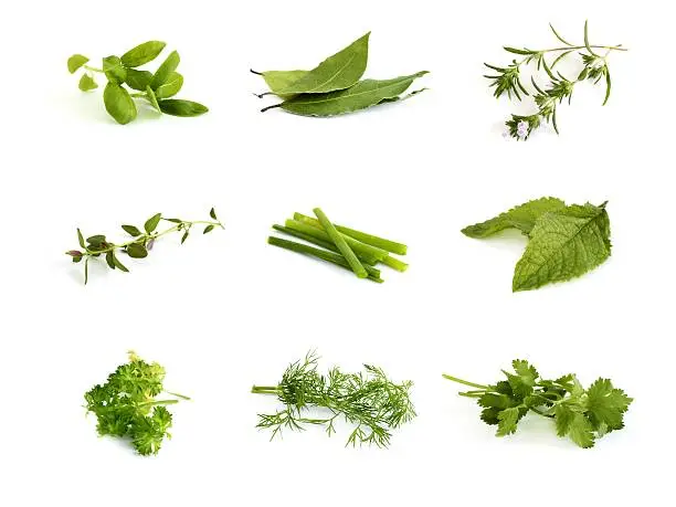 Photo of Collection of herbs