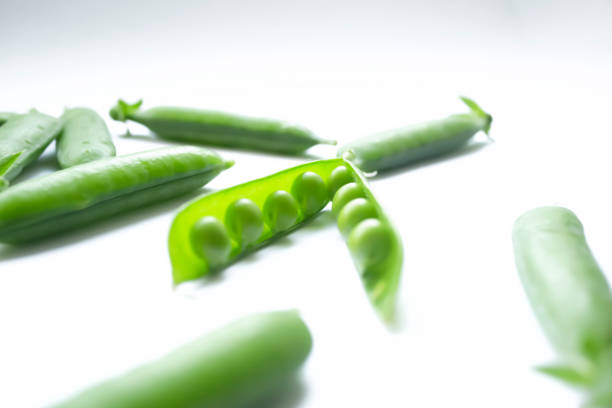 Pea pods in a garden