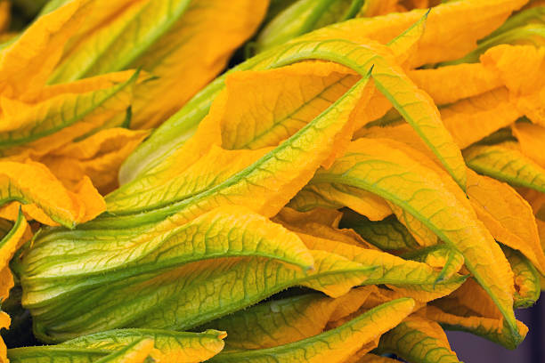 fleurs de squash - zucchini blossom squash single flower photos et images de collection