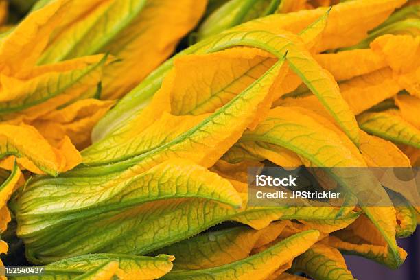 Squash Blossoms Stock Photo - Download Image Now - Blossom, Cooking, Extreme Close-Up