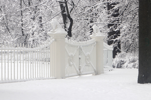 White vintage closed gate with a fence in a snowy park