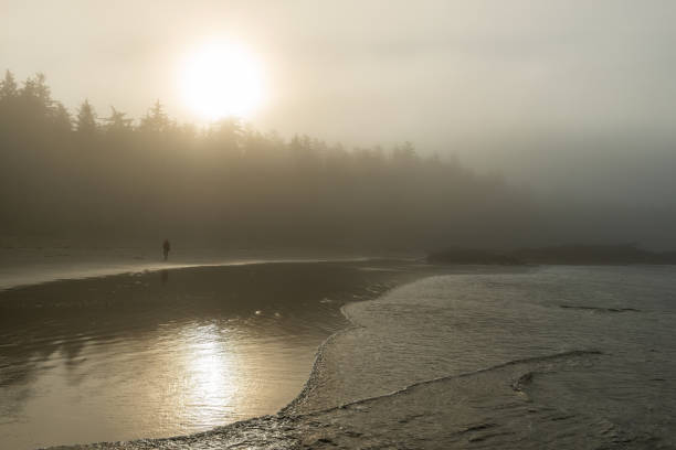 istock Tofino Beach, British Columbia, Canada 1525412499