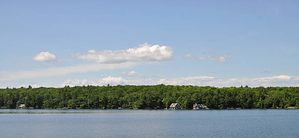 istock Lake Muskoka shoreline 152542768