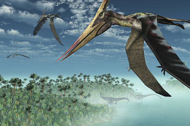 istock Prehistoric Morning - Flying Overhead 152542996