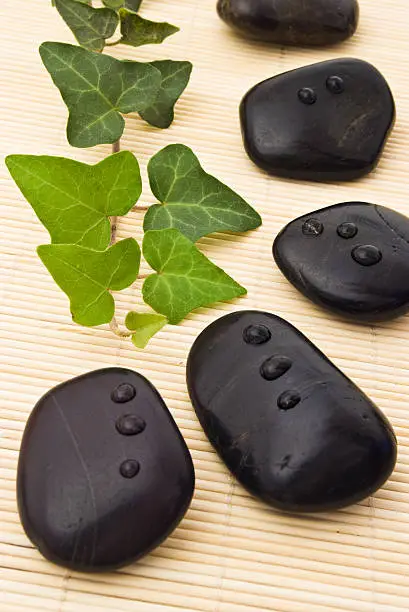 black stones and ivy on bamboo board