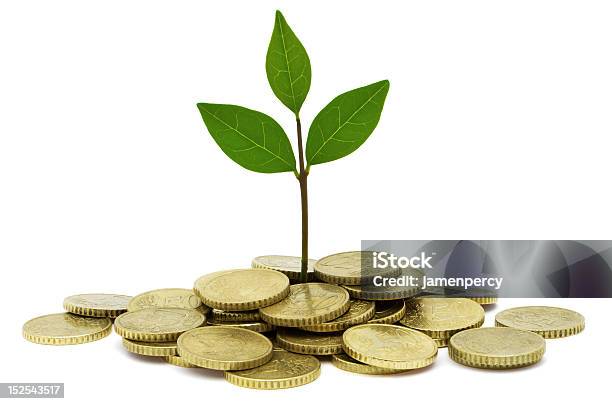 A Pile Of Gold Coins With Leaves Growing Out Of The Center Stock Photo - Download Image Now