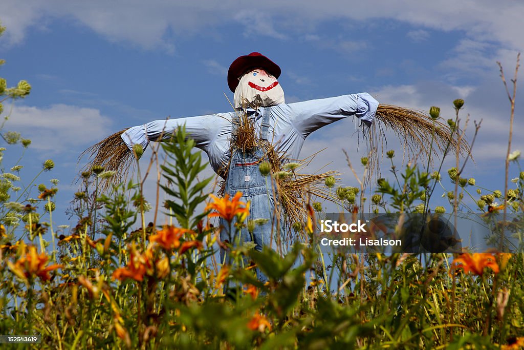 Scarecrow and Lilies Taken on a sunny Georgia afternoon with Canon 5D MarkII digital camera, ISO 100, f11, 1/250sec, 28-135mm@117mm zoom lens Scarecrow - Agricultural Equipment Stock Photo