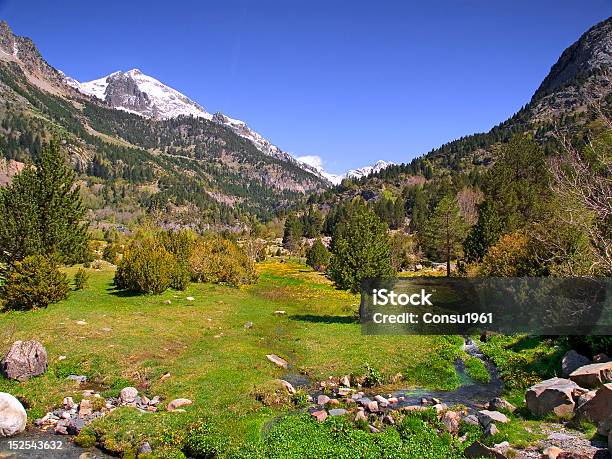 Valle Benasque Foto de stock y más banco de imágenes de Valle - Valle, Aire libre, Arbusto