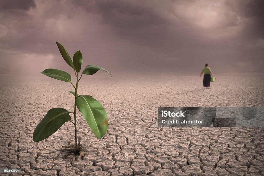 Drought The young woman is to plant a tree.. Adult Stock Photo