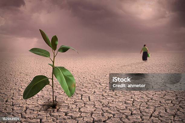 Drought Stock Photo - Download Image Now - Adult, Barren, Beginnings