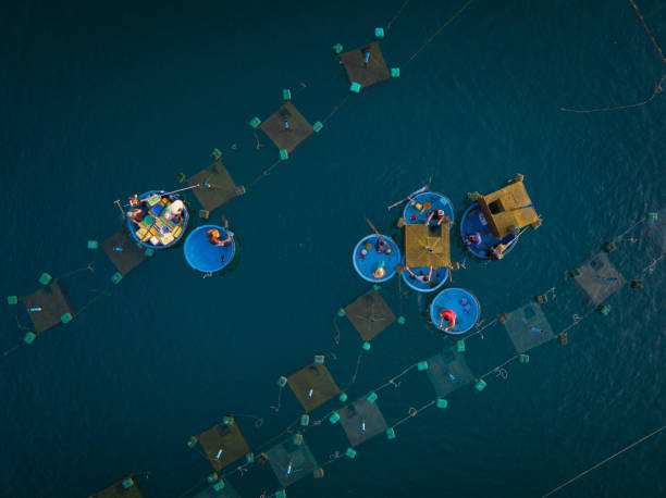 istock Lobster farms on Hon Yen beach 1525442973