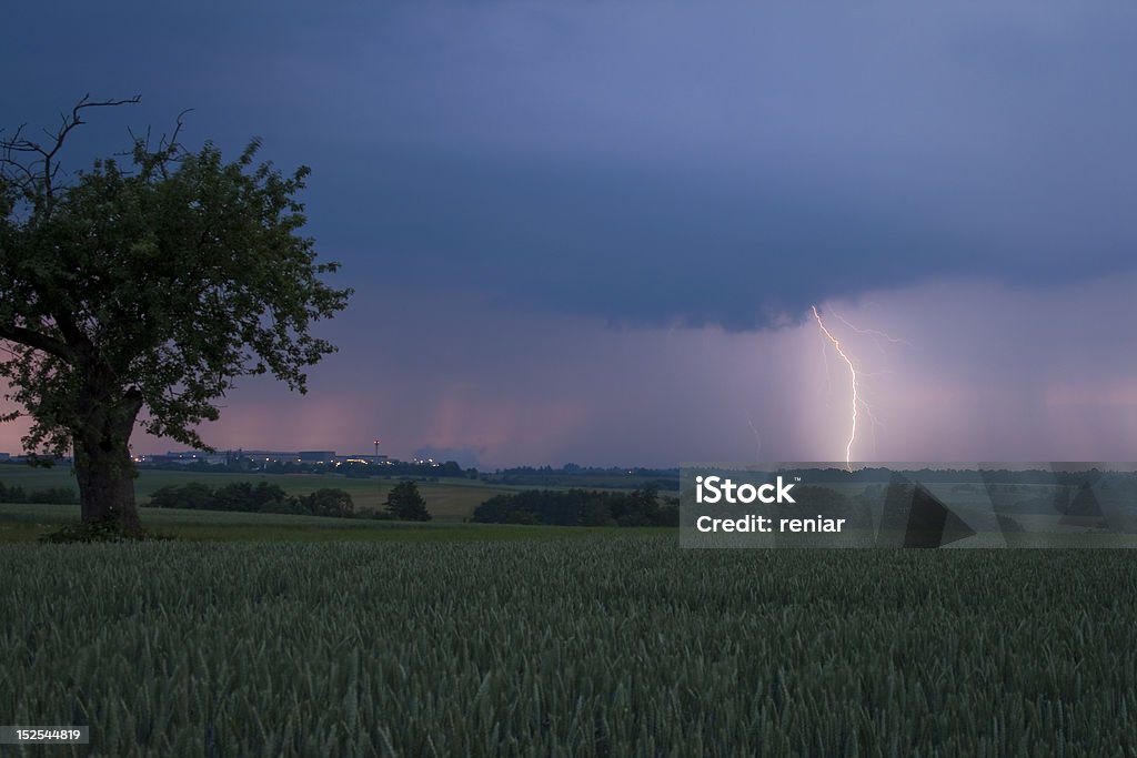 참되다 Lightning (Echte Blitze - 로열티 프리 0명 스톡 사진