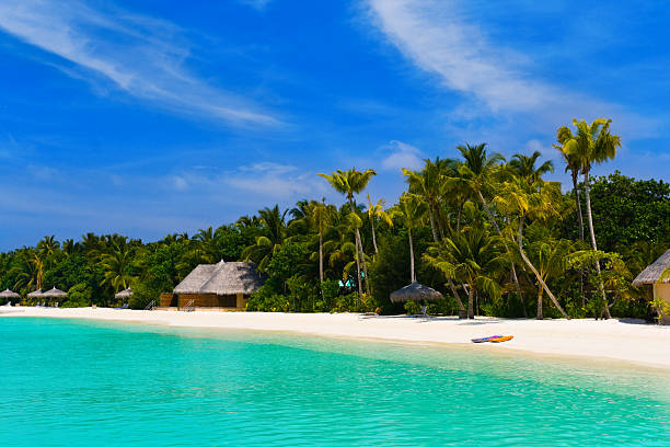 istock Beach at a tropical island 152545950