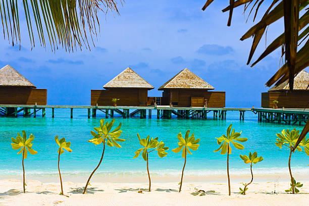 istock Water bungalows on a tropical island 152545975