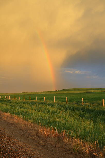istock Rainbow at the edge of a Storm over green fields 152546063