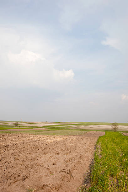 Field in the spring - Ukraine stock photo