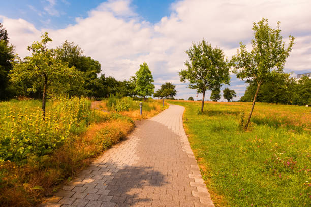 istock A small park in Germany on a cloudy summer day 1525463231