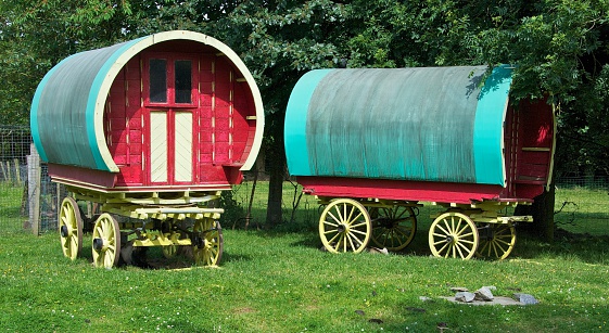 A pair of horse-drawn gypsy caravans standing in a field in Ireland